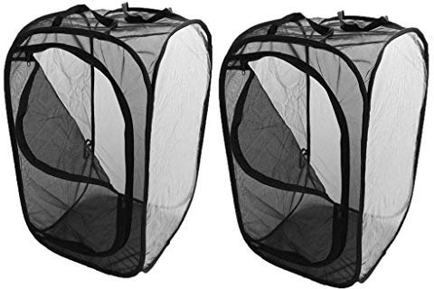 Tubayia 2 Stück Faltbare Mesh Insektenkäfig Schmetterlingshäuser Insekten Schmetterling Käfig