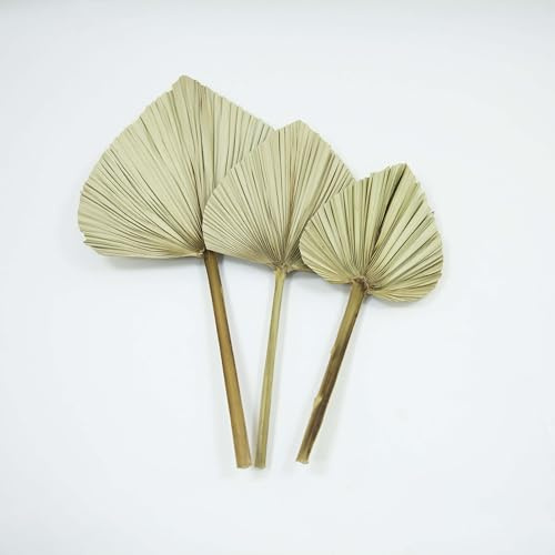 Lot de 3 feuilles de palmier séchées pour arches de ballons, gâteaux, bouquets, centres de table, décoration de mariage, décorations florales (naturel)