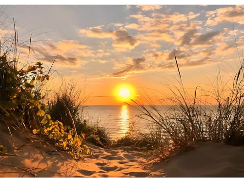 DAERLE Diamond Painting Sonnenuntergang, 5D Diamant Painting Bilder Strand Set Erwachsene, Meereslandschaft DIY Full Diamant Malen nach Zahlen für Wohnzimmer Schlafzimmer Büro Wand Dekoration 40x30cm