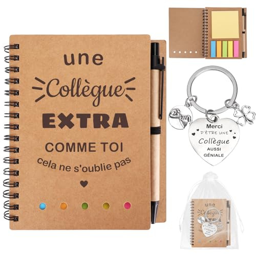 Zidoley Set de Cadeau Collègue de Travail Femme Homme Super Cadeaux Depart Collègues de Travail Idee Retraite Carnet Stylo Porte-Clés Noël Remerciements d’Appréciation des Employés