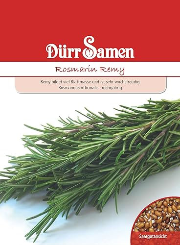 Rosmarin Samen Rosmarinsamen Remy ca 80 Korn Küchenkräuter Kräutersamen Saatgut Balkon Garten Hochbeet Kübel Dürr Samen