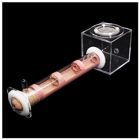 KXCR Ant Farm Bamboo Tube Ants Nest DIY Ecological Ant Farm Acryl Ant House with Feeding Area Castle Various Size Pet Anthill Workshop (Color : N)