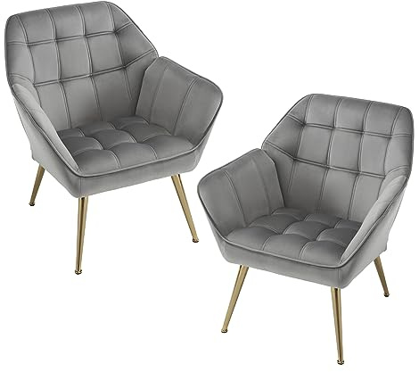 chairus Sessel Wohnzimmer Loungesessel Samt 2er Set Gepolsterter Grau | Modern Ohrensessel mit Metallbeinen für Schlafzimmer/Wohnzimmer, Cocktailsessel Einzelsofa Armlehnstuhl