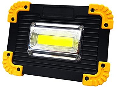 TONZN Mini projecteur LED DC5V 20W Projecteur LED Refletor Lampe de Jardin extérieure Éclairage de Secours Portable (20W) (A 20W)