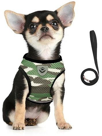 FEimaX Hundegeschirr und Leine Set für Hunde Weich Mesh Gepolstert Geschirr für Welpen und Katzen, Reflektierende Verstellbare Atmungsaktive Brustgeschirr für Gehen, Laufen, Training