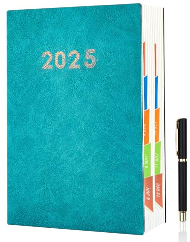 Kalender 2025 Seite Pro Tag A5, Buchkalender 2025, Tagesplaner 2025 Mit Farbenfroher Monatsansicht, Terminkalender 2025 Mit Stift FüR Einen Plan Entwickeln Mahnungen, 8“ × 5.7”, Blau