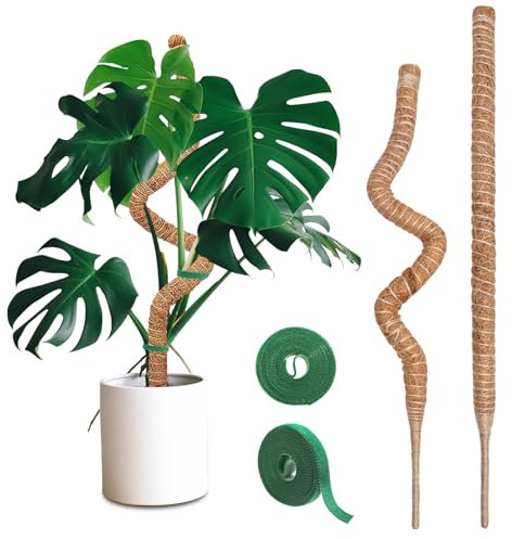 Moss Pole 64 cm Bendable Moss Poles for Plants 2 Pcs Moss Pole for Monstera Coir Totem Pole for Climbing Plants Support Outdoor Indoor Plant with Two-Meter Velcro*2 for Potted Plants to Grow Upward