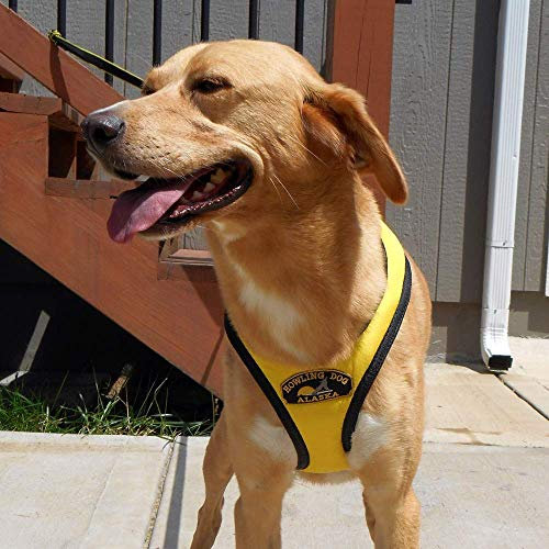 Ultra Hundegeschirr Zugeschirr Allzweckgeschirr für Zughundesport Canicross, Dogscooting, Bikejöring, Dogtrekking (M Halsumfang 50cm)