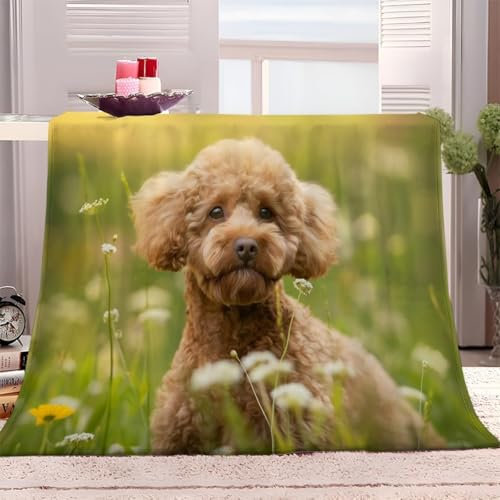 Hund Kuscheldecke Flauschig 130x150cm Haustierhund Fleecedecke Weich Sofadecke Warm Bettdecke Decken Wohndecke Tagesdecke Sofaüberwurf Decke Couchdecke Bettüberwurf K1161