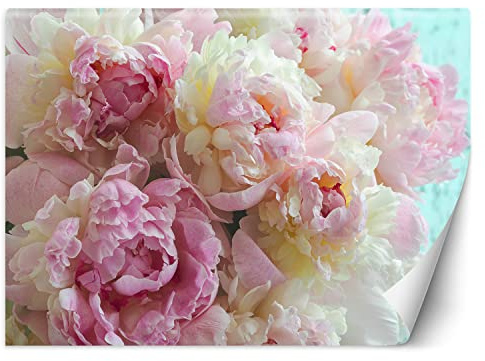 Feeby Papier Peint Intissé Nature Fleurs Pivoine 300x210 cm rose XXL Moderne Décoration Murale Tableaux Muraux Tapisserie Salon Chambre à coucher Pétales Plantes
