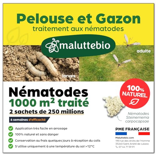 Nématodes pelouse et gazon - Traitement contre les larves de Tipules (vers gris ou Cousin) - 100% naturel. Traite les tâches jaunes du gazon (Pour 1000m² (500 millions))