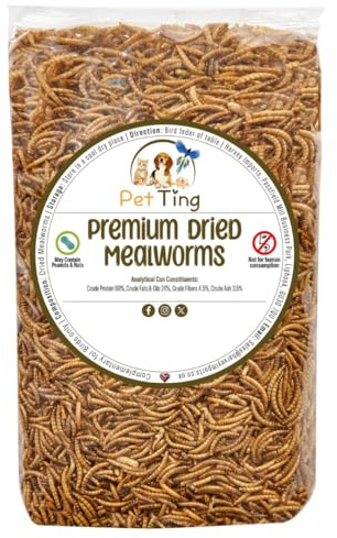 Premium Dried Mealworms, 5L Bag