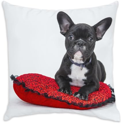 Fabulous Kissen aus Samt, weiß, französische Bulldogge, Schwarz, Welpen, Baby, Hund, niedliches Herz, 40 x 40 cm, samtige Haptik, Bezug und Kissen enthalten