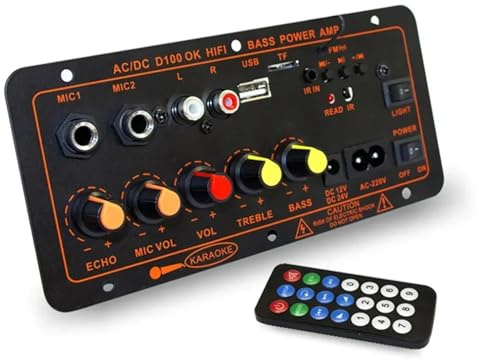 Scheda amplificatore MP3 5.0 da 600 W 12 V 24 V Modulo AMP doppio microfono USB TF FM Musica for auto Suono dei bassi senza perdita for Subwoofer(D100 200W Amplifier)