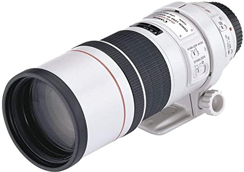 Canon EF 300-mm 1:4,0L IS USM Obiettivo