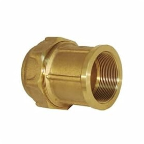Riegopro - Raccordo filettato femmina, realizzato in ottone. Utilizzato come accessori per tubi di irrigazione in polietilene. Disponibile in 20 mm, 25 mm, 32 mm, 40 mm, 50 mm e 63 mm.