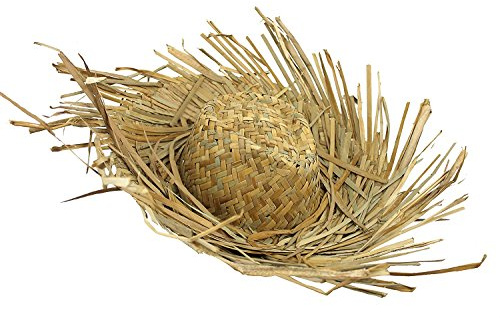 24 x Sombrero de playa de Hawaian con paja, para fiesta de playa