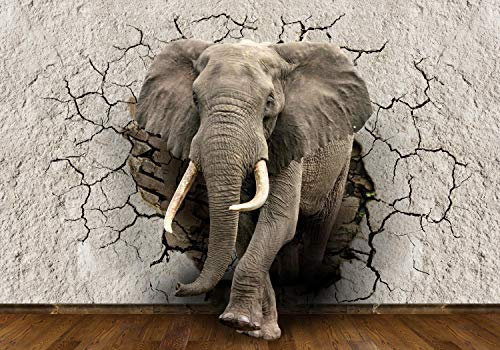 wandmotiv24 Fototapete Elefant 3D Wanddurchbruch, L 300 x 210 cm - 6 Teile, Wanddeko, Wandbild, Wandtapete, Tier, Mauer, Bruch M1238