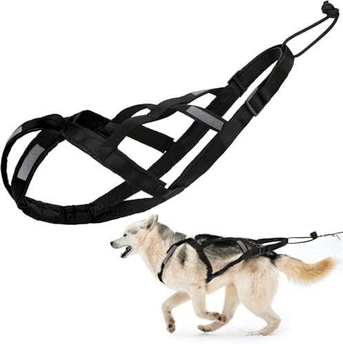 Harnais de Traction pour Chien en Nylon avec Bande réfléchissante, Harnais de traîneau imperméable pour Chiens, Harnais de Traction pour Exercices de Chiens, pour cani-VTT, Ski attelé et traîneau de