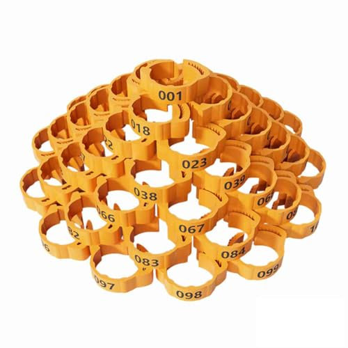 YYDSWTW Hühnerringe Kükenbänder Identifikationsband 100 PCs Fuß Ring orange 1-100
