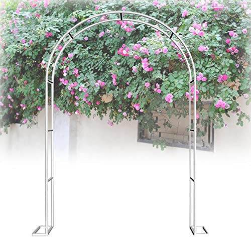 Traliccio da giardino per piante rampicanti in ferro battuto, arco per rose da giardino, pergolato, fioriera per patii e balconi. Dimensioni: 80 x 200 cm (larghezza x altezza)