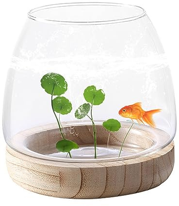 Temeemeg Piccolo Acquario in Vetro Vaso per Pesci Vasi per Piante idroponiche Trasparenti per Decorazioni per l'home Office.