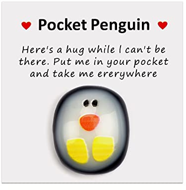 xinrongda A Little Pocket Penguin Hug, Mini Animal Pocket Hug Penguin Decoration, Special Cute Penguin Pocket Keepsake Ornament, Encourage Gift for friends,lovers, Birthday, Wedding