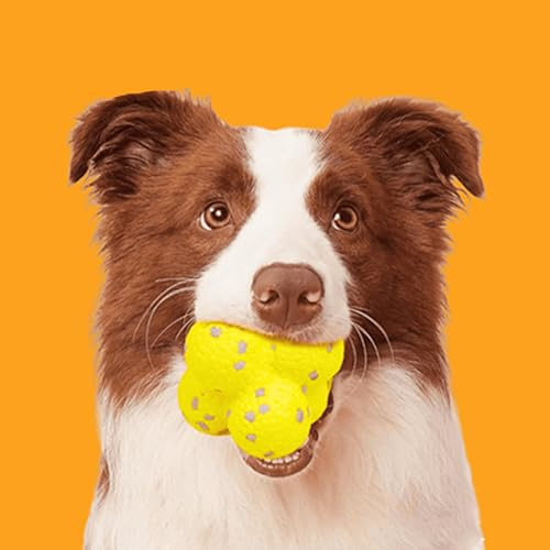 Donubiiu Kauzauber Ball, Hundeball-Spielzeug für Aggressive Kauer, für Große, Mittelgroße, Kleine Hunde