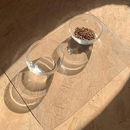 DG Catiee Transparente PVC-Futternapf-Matte, langlebig, wasserdicht, abwischbar, rutschfest, Kunststoff, transparent, 50 x 50 cm