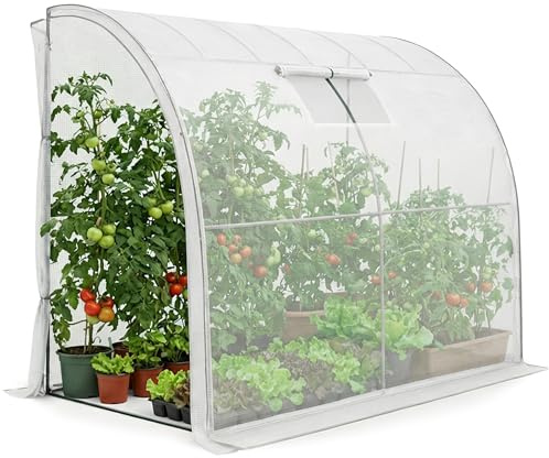 AKORD Invernadero Adosado de Pared para Jardín y Huerto, Estructura de Acero y Lona PE con Filtro UV, 1 Puerta y 1 Ventana, 100x200x210 cm, Bianco