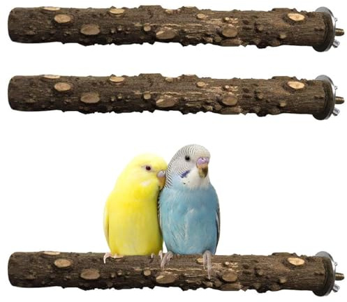 PINVNBY 3Pcs Bird Perches for Cage, Nature Wood Prickly Parrot Stand Toy Paw Grinding Stick for Small Medium Birds Parrot Parakeet Cockatiel Conure Cage Accessory