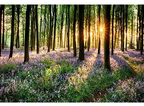 Aoihrraan 2,7 x 1,8 m violer skogsbakgrund lila blommor skog solsken park landskap fotografi bakgrund sommarsemester resa semester fest bröllop skytte porträtt tapet foto studio rekvisita