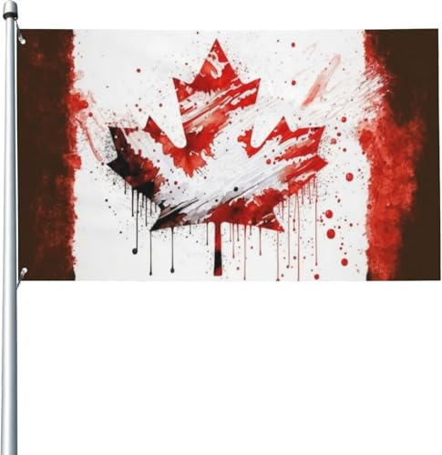 Bandiera del Canada, 0,9 x 1,5 m, decorazione da giardino, striscione per esterni, per feste, parate, bandiere a prova di scolorimento, con occhielli in metallo, QZ10