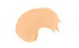 Fondotinta camouflage LA JOLIE FULL COVER varie tonalità 15 gr 747184