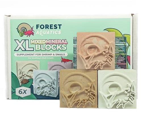 Forest Aquatics XL Mixed Calcium Mineral Block Food for Shrimp Snails Plecos Crabs Nerites Ramshorns (6 x Blocks)