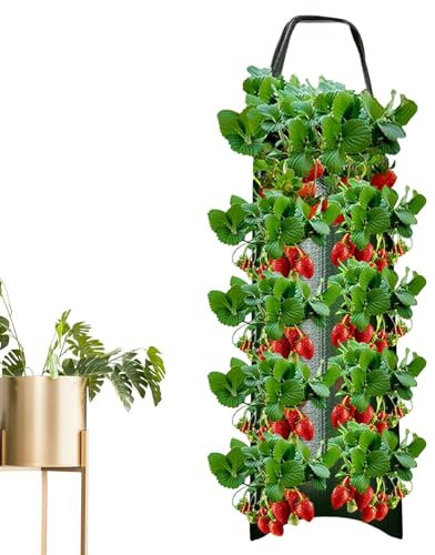 1 Pcs Tomato Root Bags - Non-Woven Strawberry Grow Pouch, Tomato Wall | Reusable Flower Growth Planting Bag, Easy Application Strawberry Pyramid Planter for Vegetables Flowers Herb