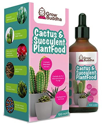 Cactus & Succulent Food Fertiliser– Liquid Concentrated Fertiliser for Healthy Cactus & Succulent 100 ml – Vigorous growth with strong root – Suitable for all kinds of Cacti & Succulent