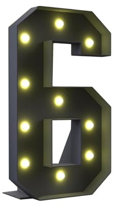 100CM/3.3FT Marquee Light Up Number 6, Mosaic Giant Marquee LED Light Pre-cut Foam Board Set Birthday Party Wedding Baby Shower Xmas Anniversary