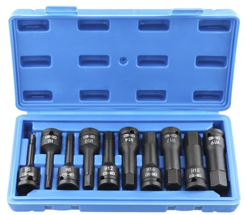 QWORK® Juego de 10 Llaves de Vaso con Puntas Hexagonales, H5-H19, Accionamiento de 1/2, Acero al Cromo Vanadio
