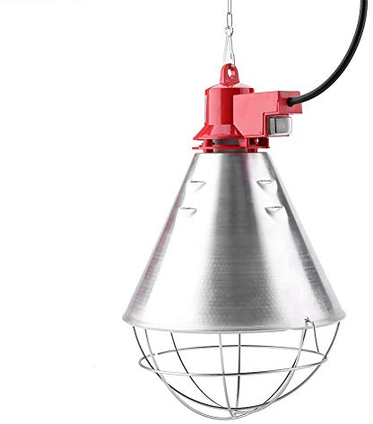 Lampadina a raggi infrarossi, lampadina a luce rossa 250W con luce di impostazione Hi-Low per rettili, anfibi, pulcini e altri animali (spina europea 220V)