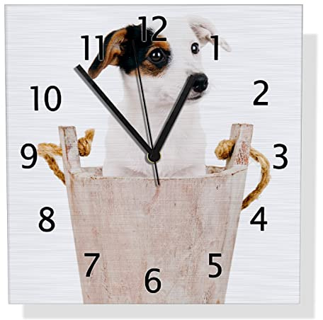 Wallario Design Wanduhr Hunde-Welpe Jack Russel Terrier in einem Holzeimer aus Aluverbund, Alu-Uhr Größe 30 x 30 cm, Schwarze Zeiger mit Metalloptik