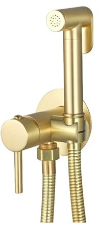 Pulvérisateur de bidet en laiton hygiénique pour salle de bain avec mitigeur d'eau chaude et froide avec intégration de bidet de toilette