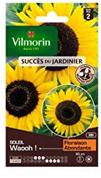 Vilmorin Sachet graines Tournesol Soleil Waooh!