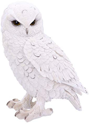 Nemesis Now Snowy Watch Large 20cm, Resin, White, One Size