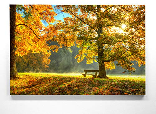 BilderKing Atemberaubendes Herbstpanorama Wandbild - Herbstidylle Bank - als 90x60cm große Leinwand. XXL Wandbild als Hintergrund und Deko für Wohnzimmer & Schlafzimmer. Aufgespannt auf Holzrahmen