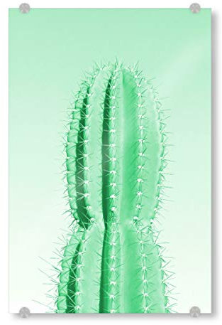artboxONE Acrylglasbild 30x20 cm Reise/Afrika Stacheliger Kaktus grün Bild hinter Acrylglas - Bild Kaktus