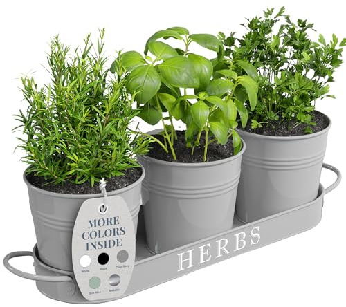 Barnyard Designs Juego de macetas de jardín de Hierbas para Interiores con Bandeja, macetas de Metal con Drenaje para Plantas de Exterior o Interior, Gris, Juego de 3