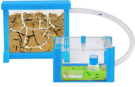 AntHouse - Natürliche Ameisenfarm aus Sand | 3D Basic Set (Sandwich + Futterbox) Himmelblau | Inklusive Ameisen