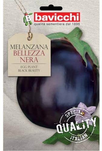 Bavicchi buste semi orto plus (Melanzana bellezza nera)