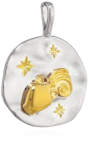 NKlaus ciondolo 17mm segno zodiacale Acquario argento 925 zodiaco oro bianco amuleto 13982